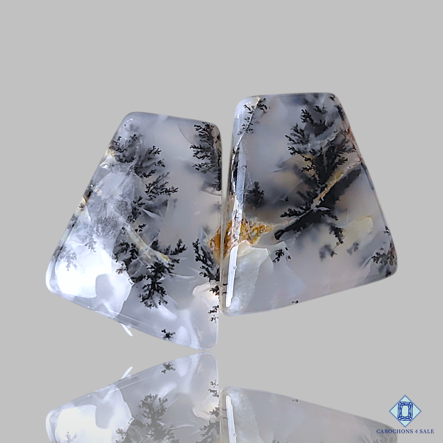 Dendritic Agate