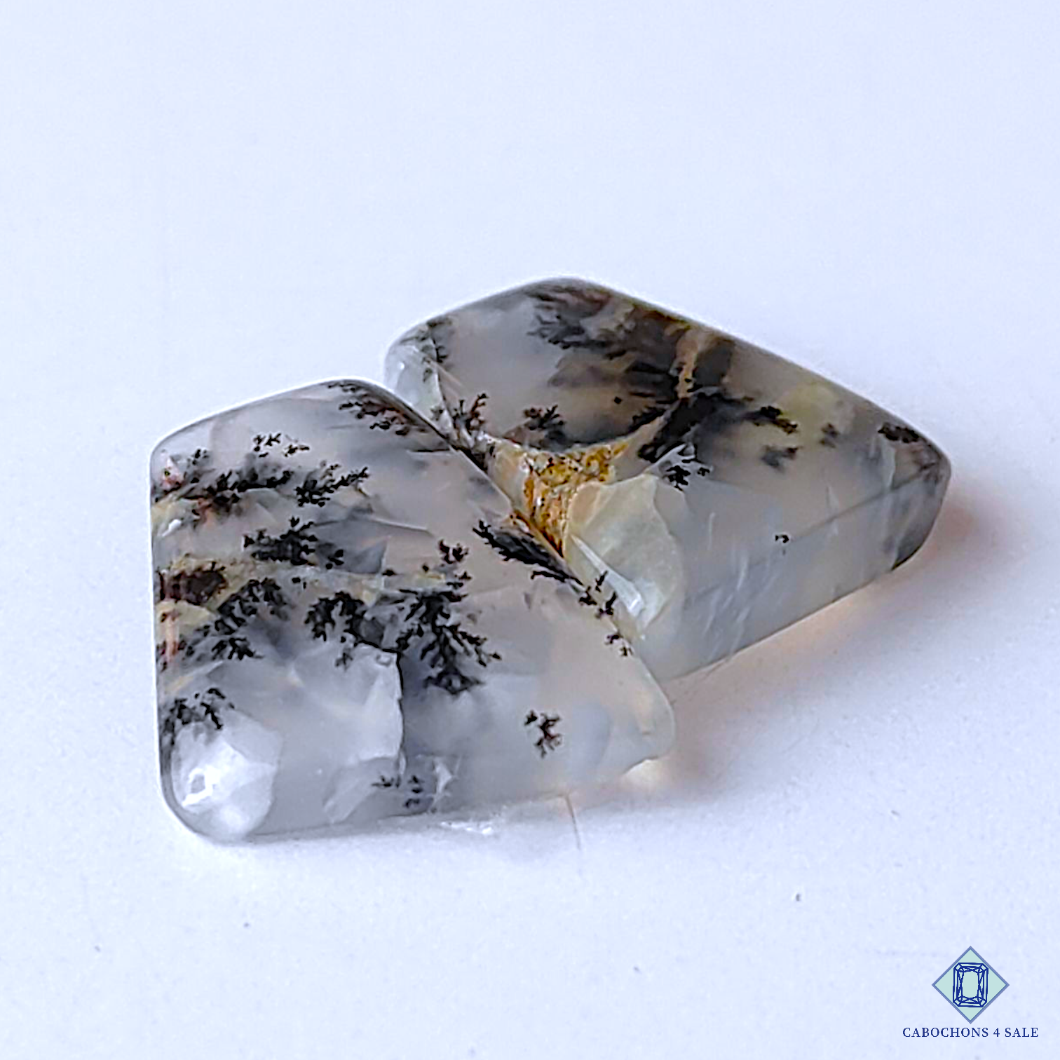 Dendritic Agate