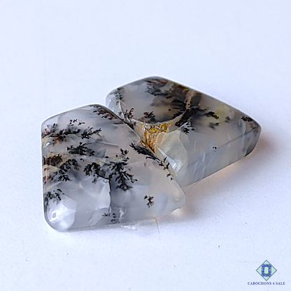Dendritic Agate
