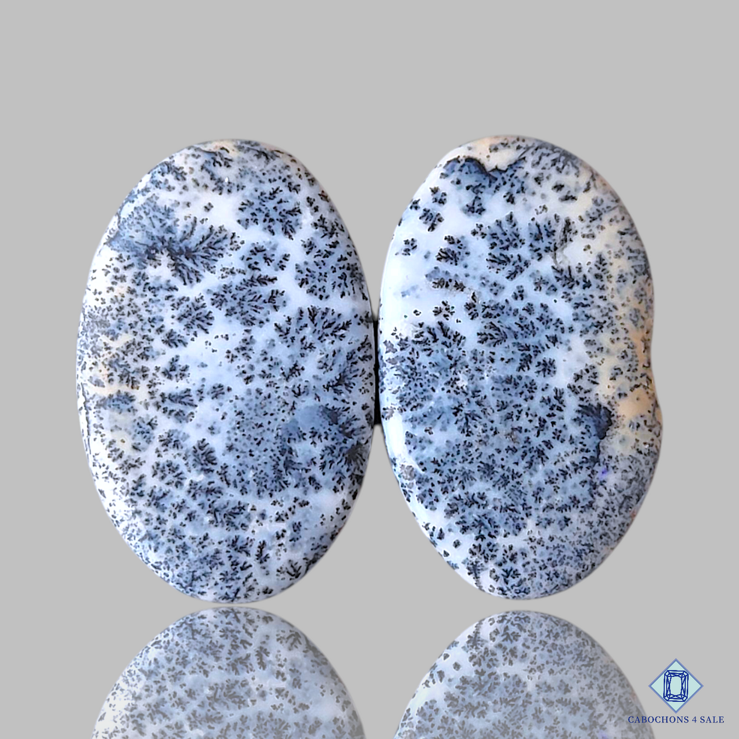Dendritic Agate