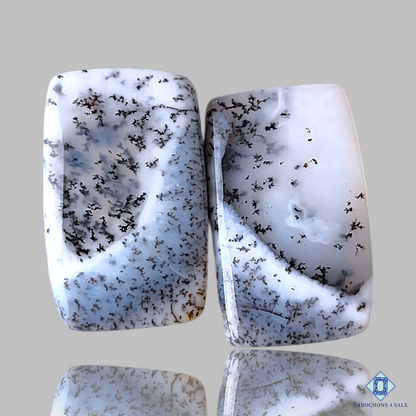 Dendritic Agate