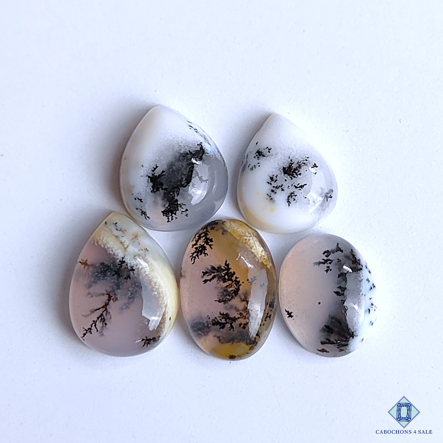 Dendritic Agate