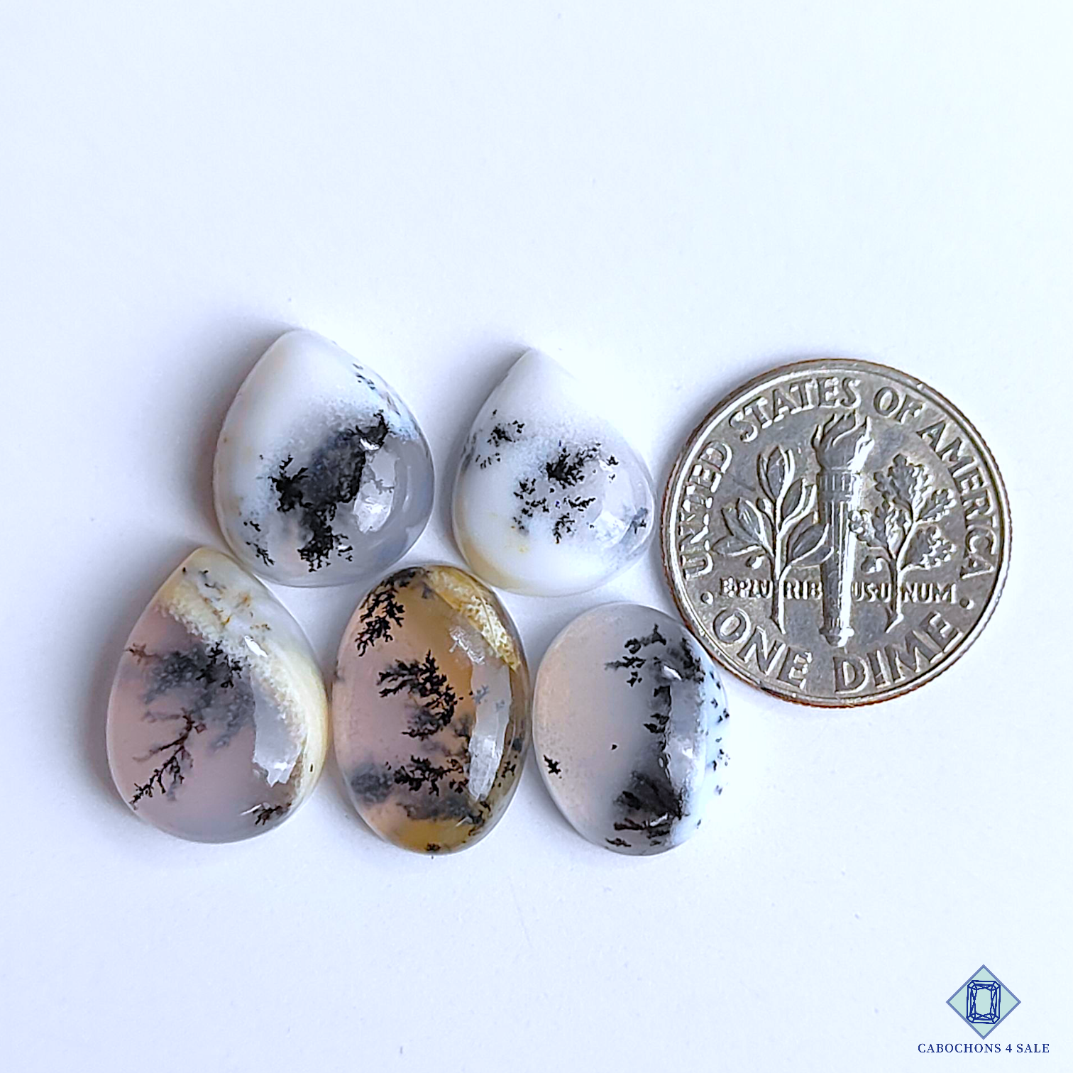 Dendritic Agate