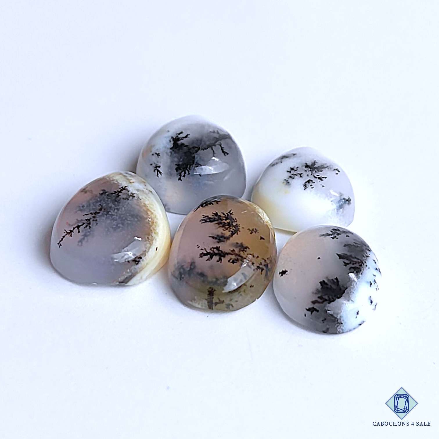 Dendritic Agate