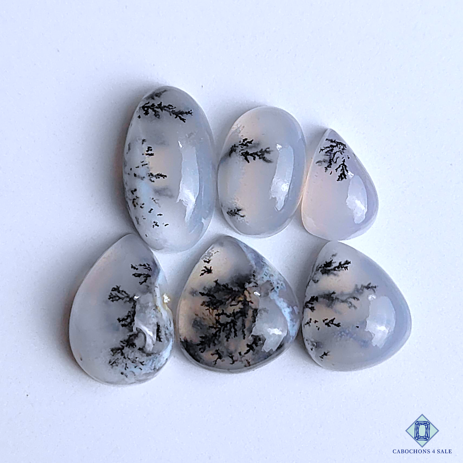 Dendritic Agate