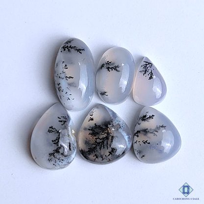 Dendritic Agate