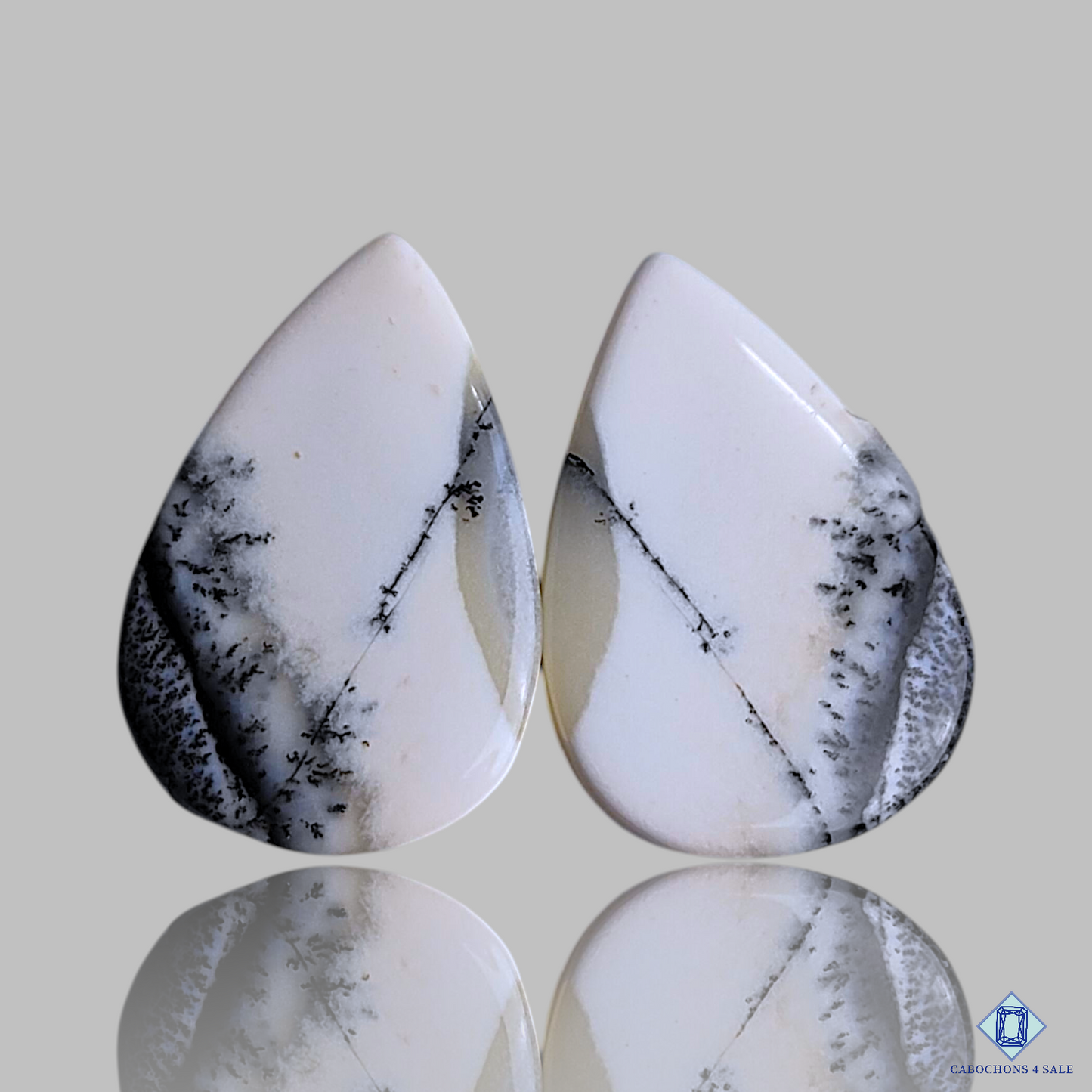 Dendritic Agate