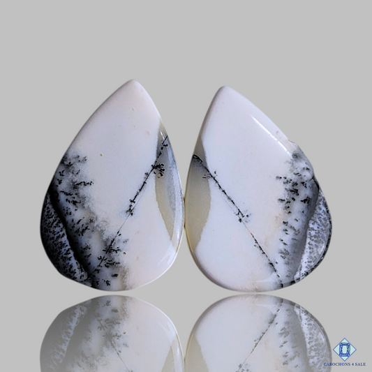 Dendritic Agate