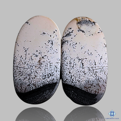 Dendritic Agate