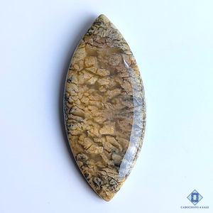 Dendritic Agate Marquise Cabochons 57*25*7mm