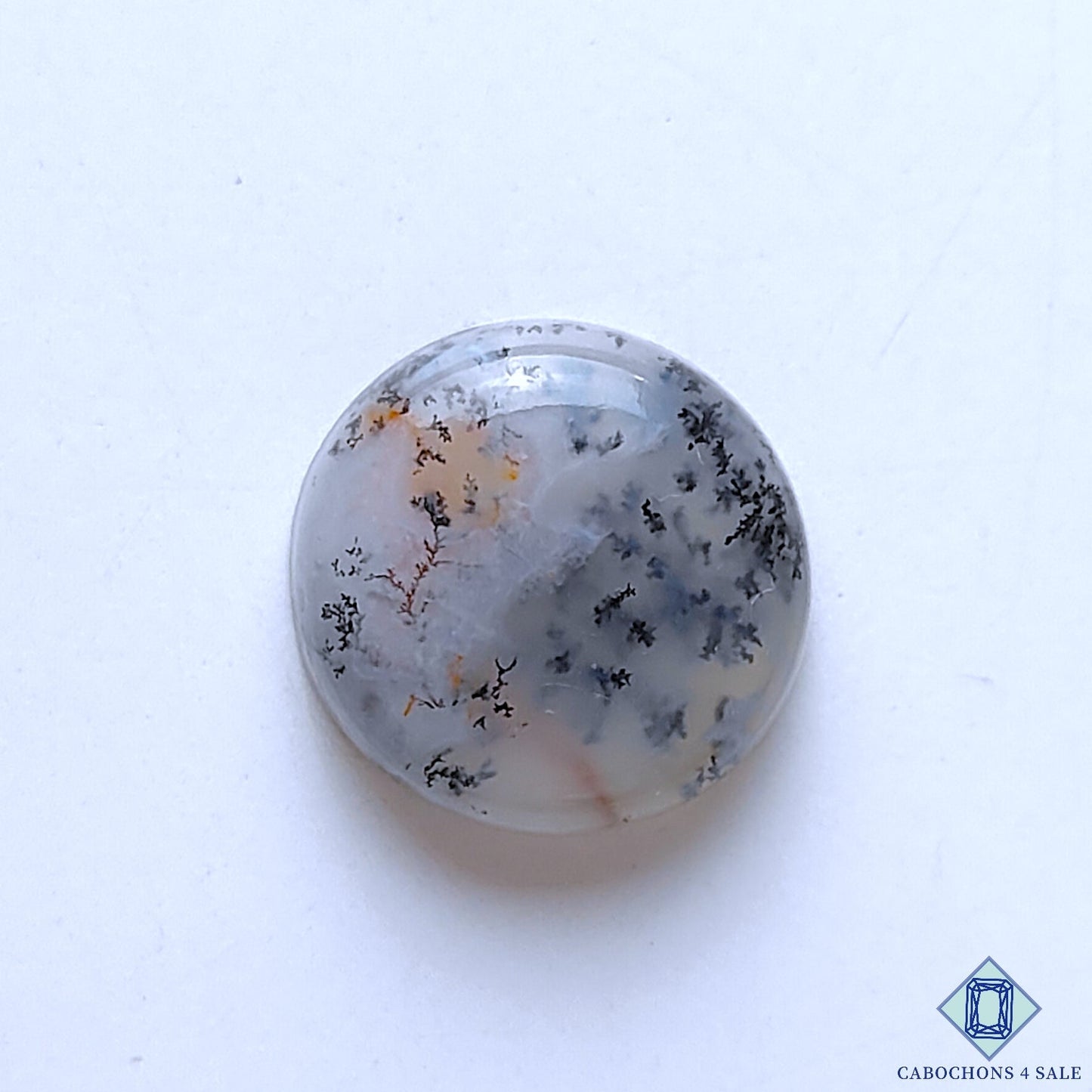 Dendritic Agate