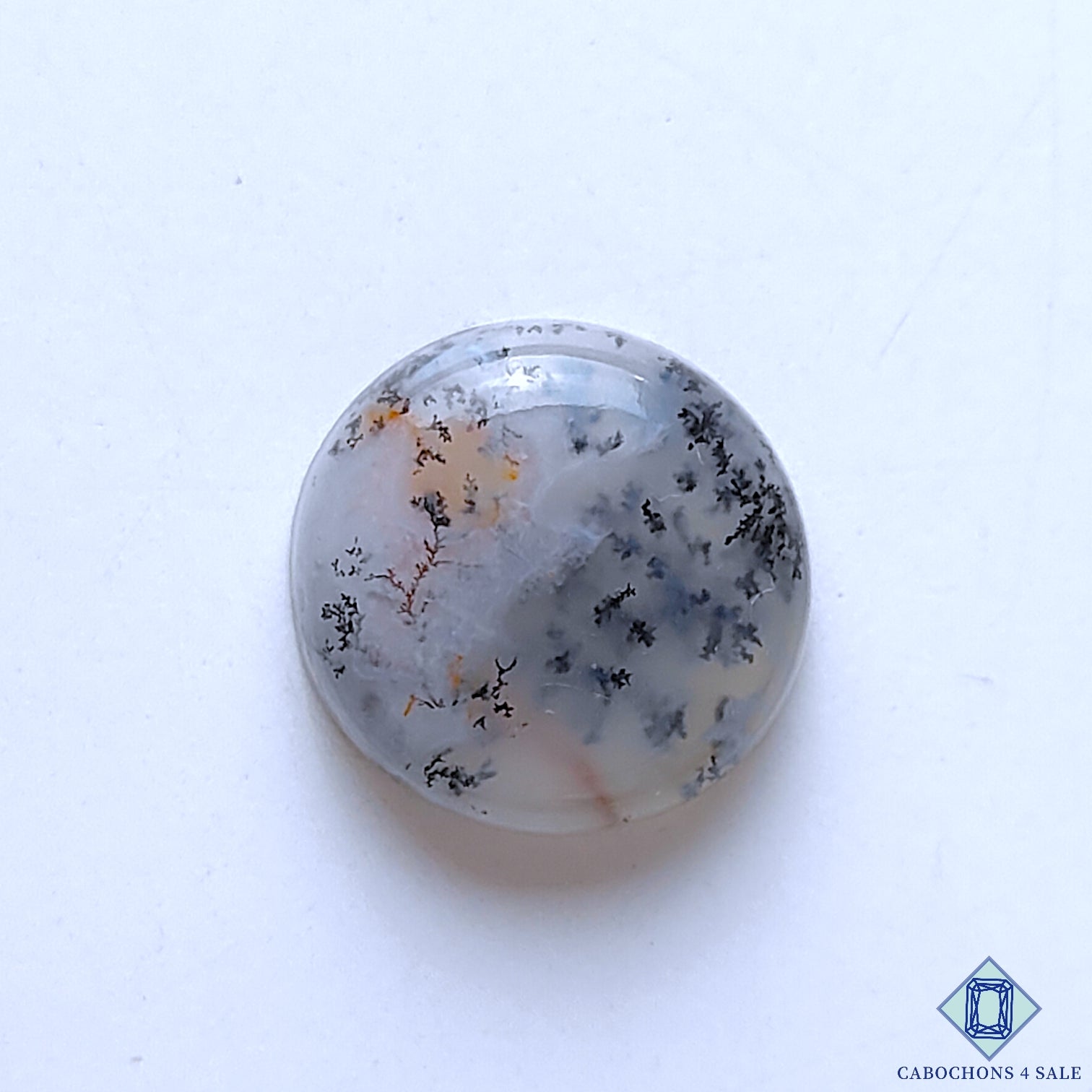Dendritic Agate