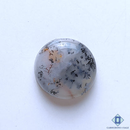 Dendritic Agate