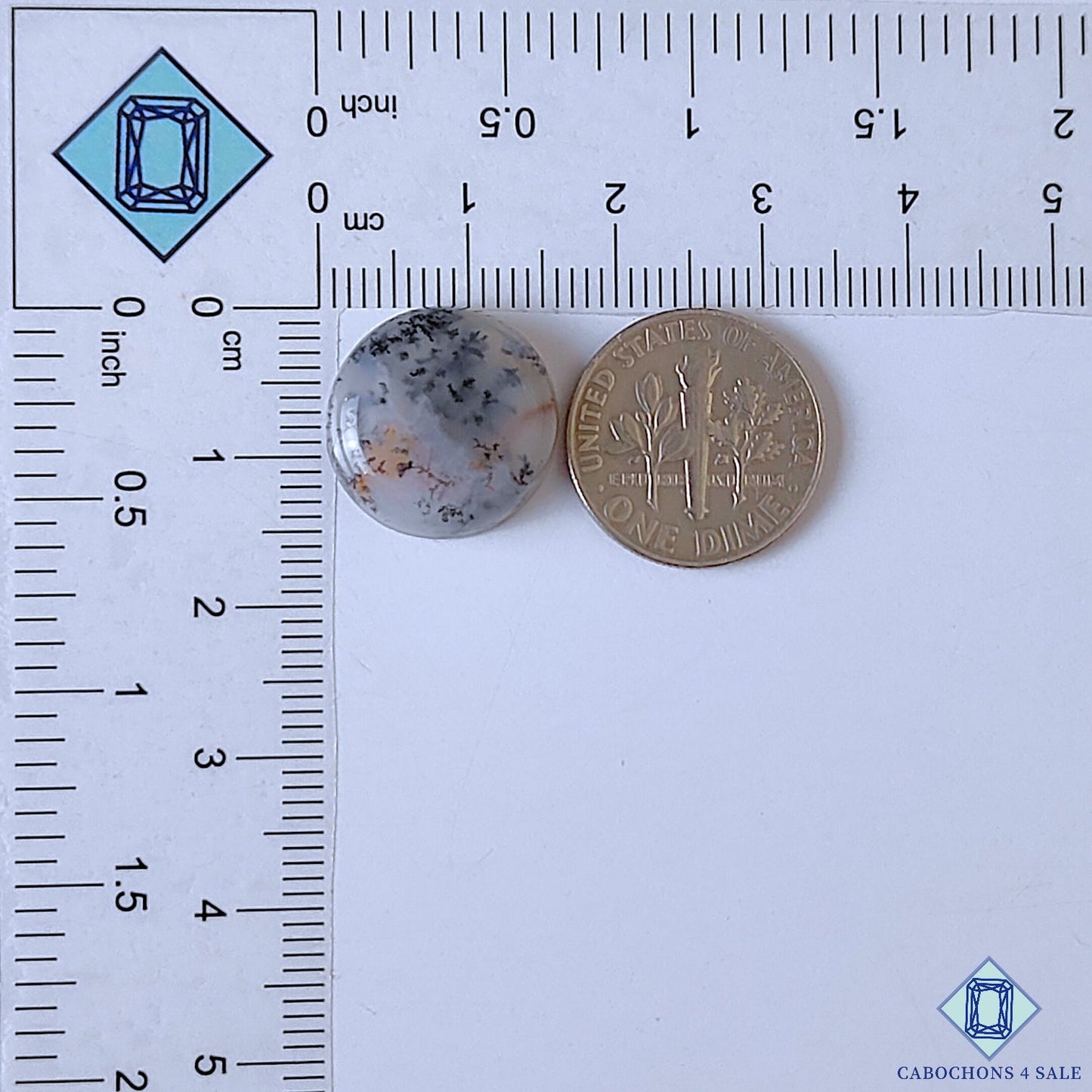 Dendritic Agate