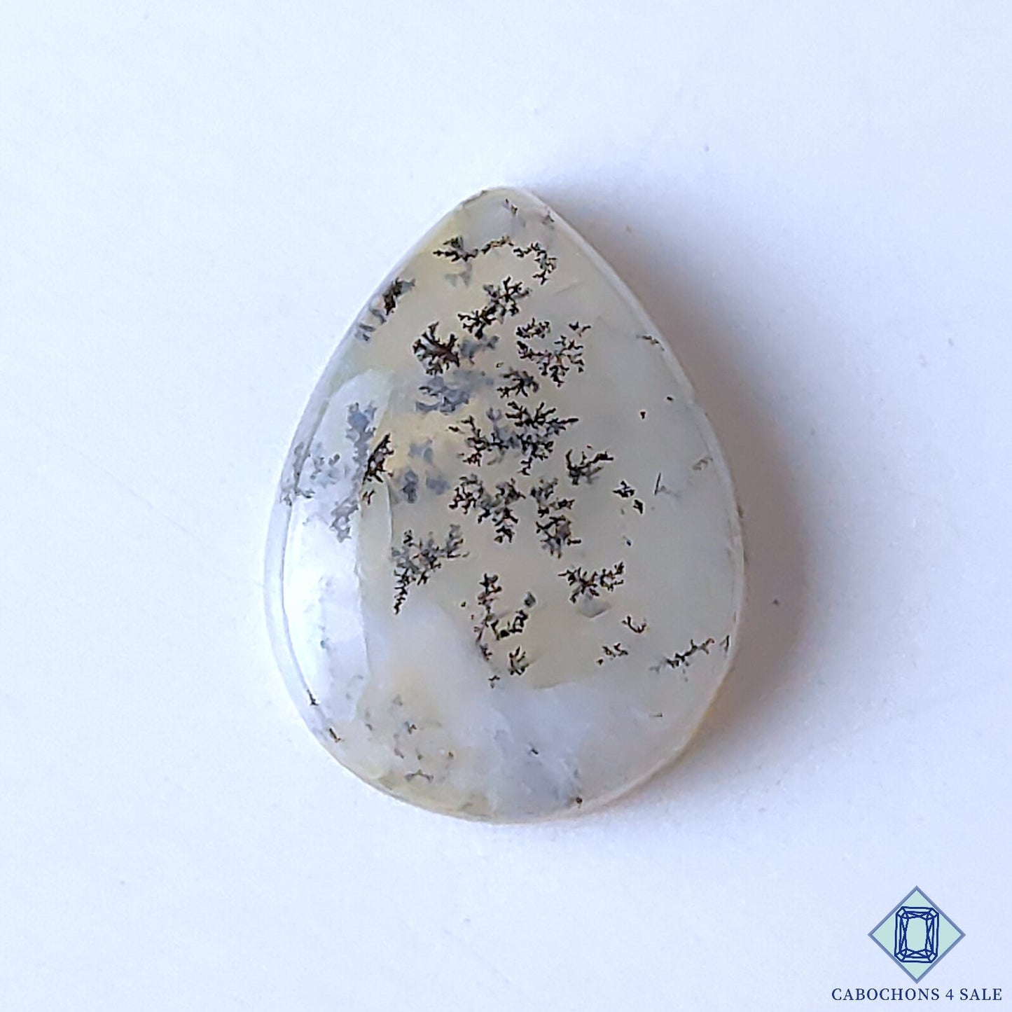 Dendritic Agate