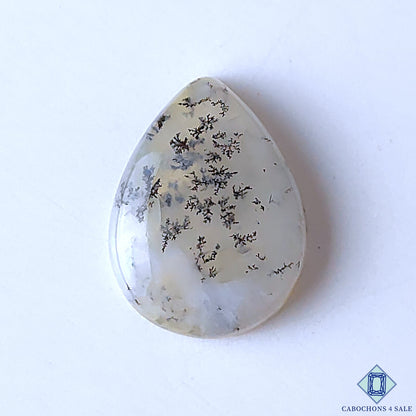 Dendritic Agate