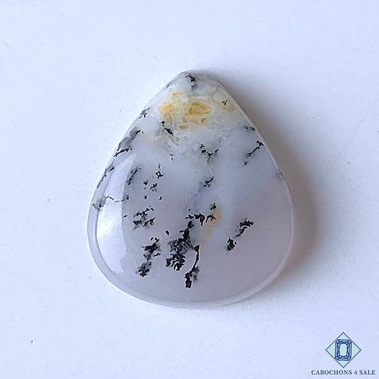 Dendritic Agate