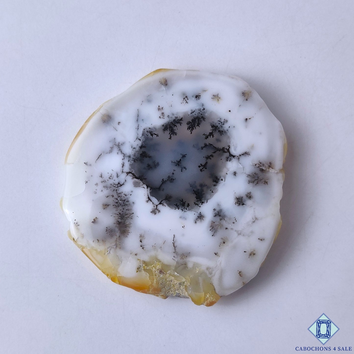 Dendritic Agate
