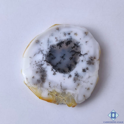 Dendritic Agate