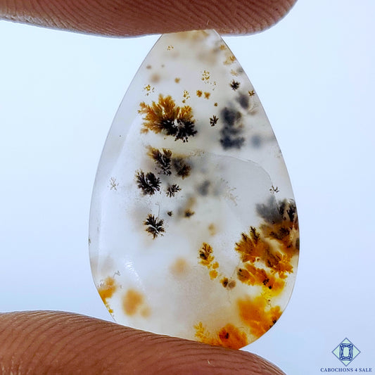 Dendritic Agate