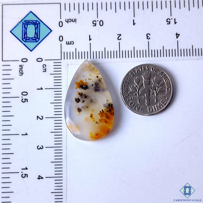 Dendritic Agate