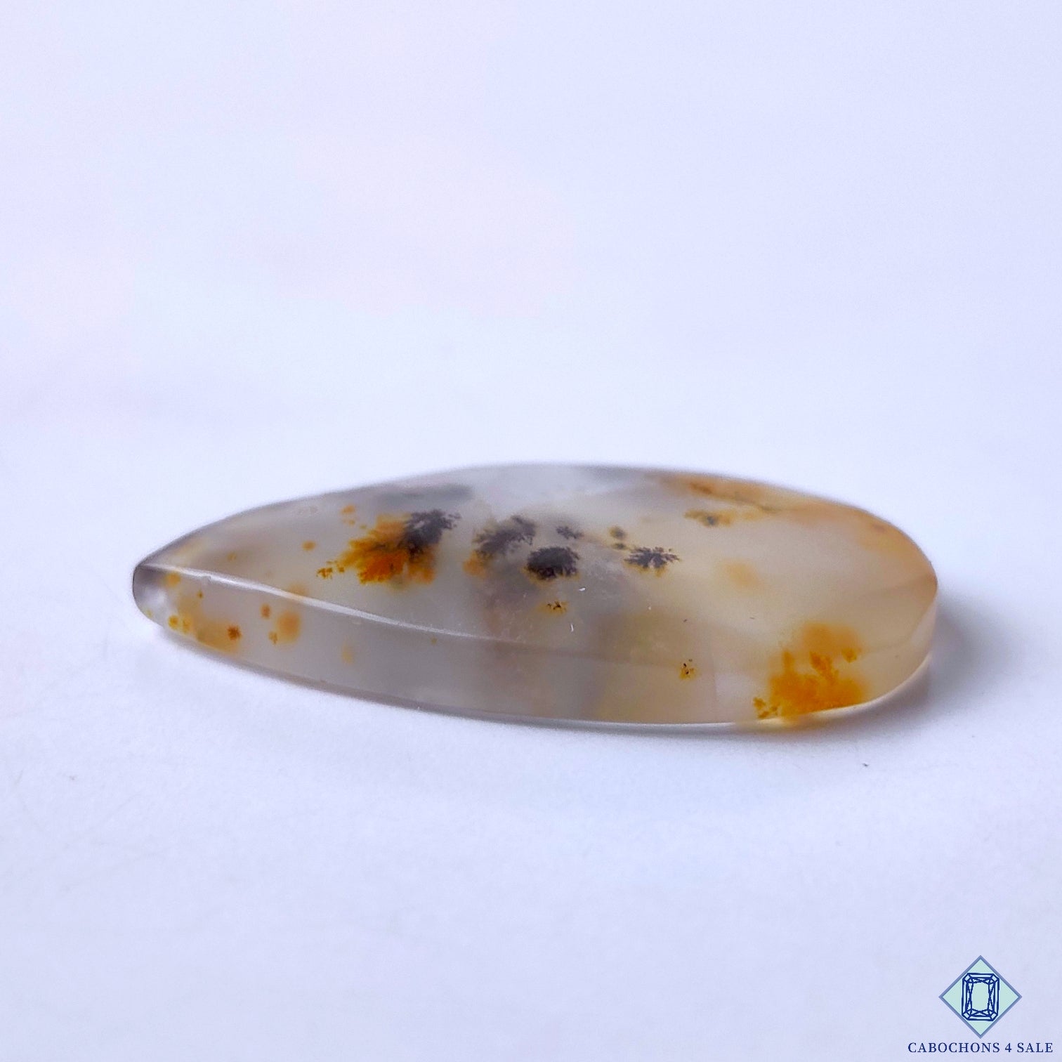 Dendritic Agate