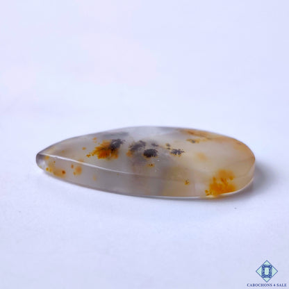 Dendritic Agate