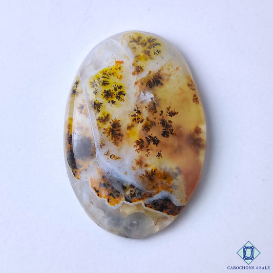 Dendritic Agate