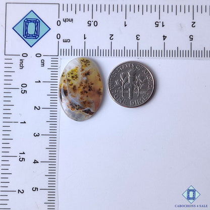 Dendritic Agate