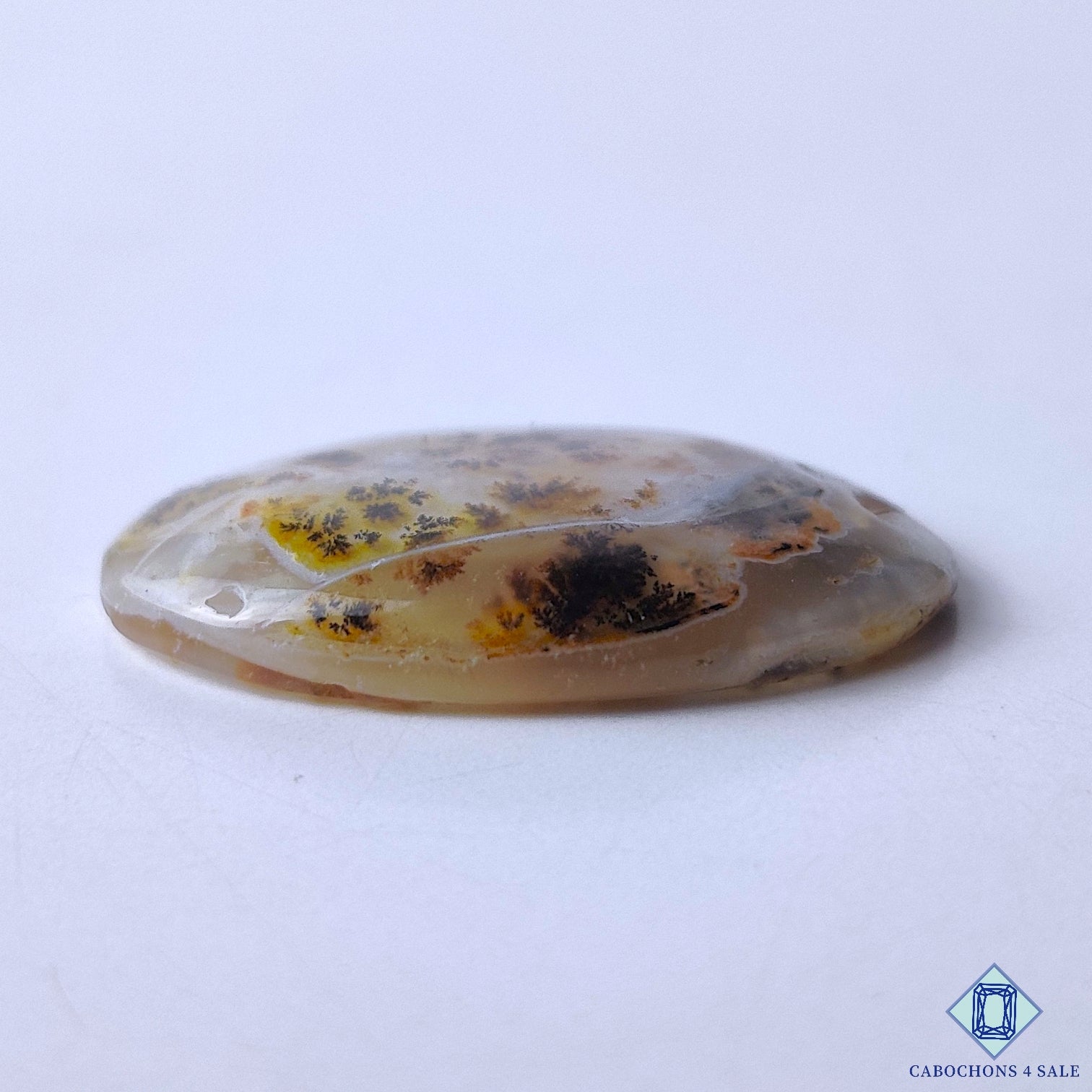 Dendritic Agate