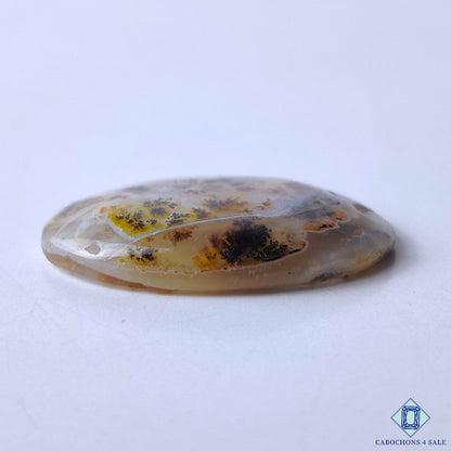 Dendritic Agate
