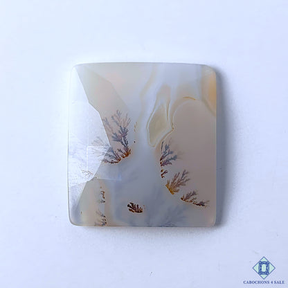 Dendritic Agate
