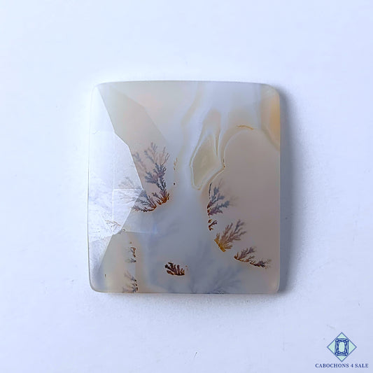 Dendritic Agate