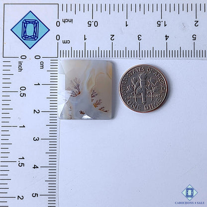 Dendritic Agate