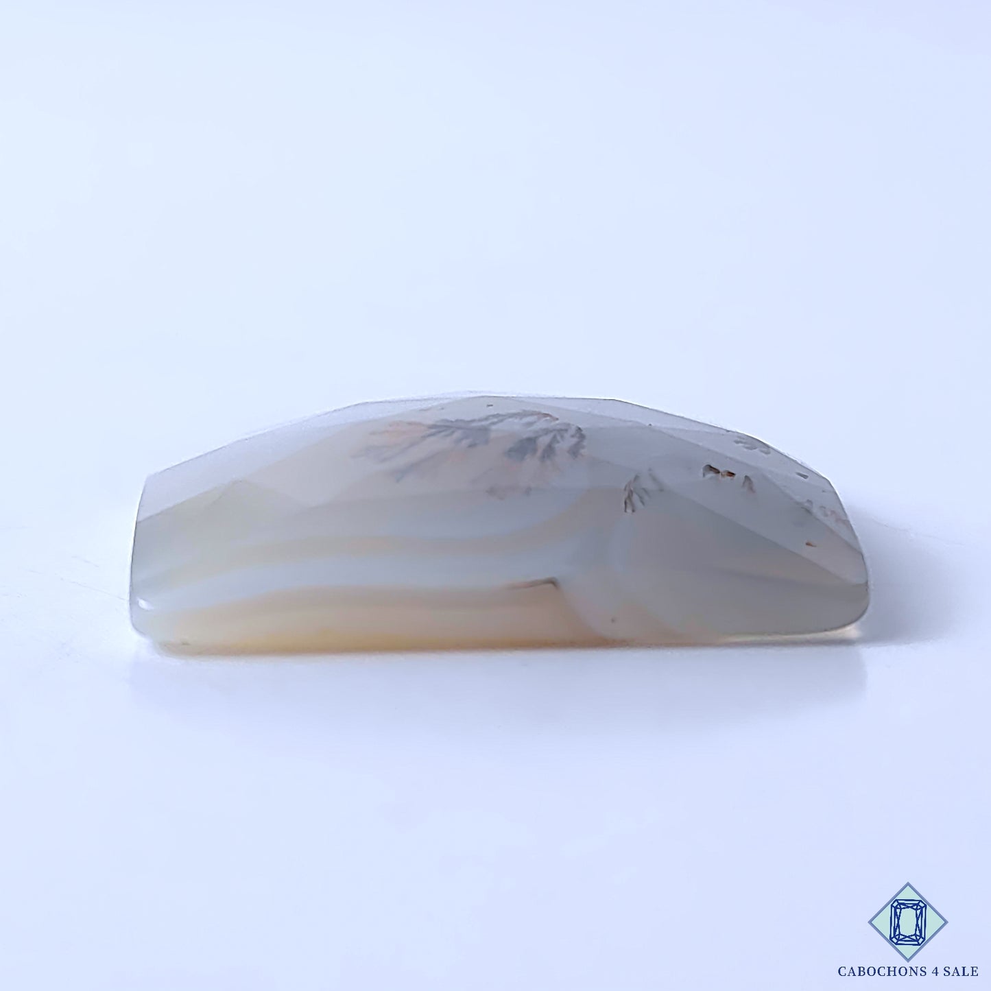 Dendritic Agate