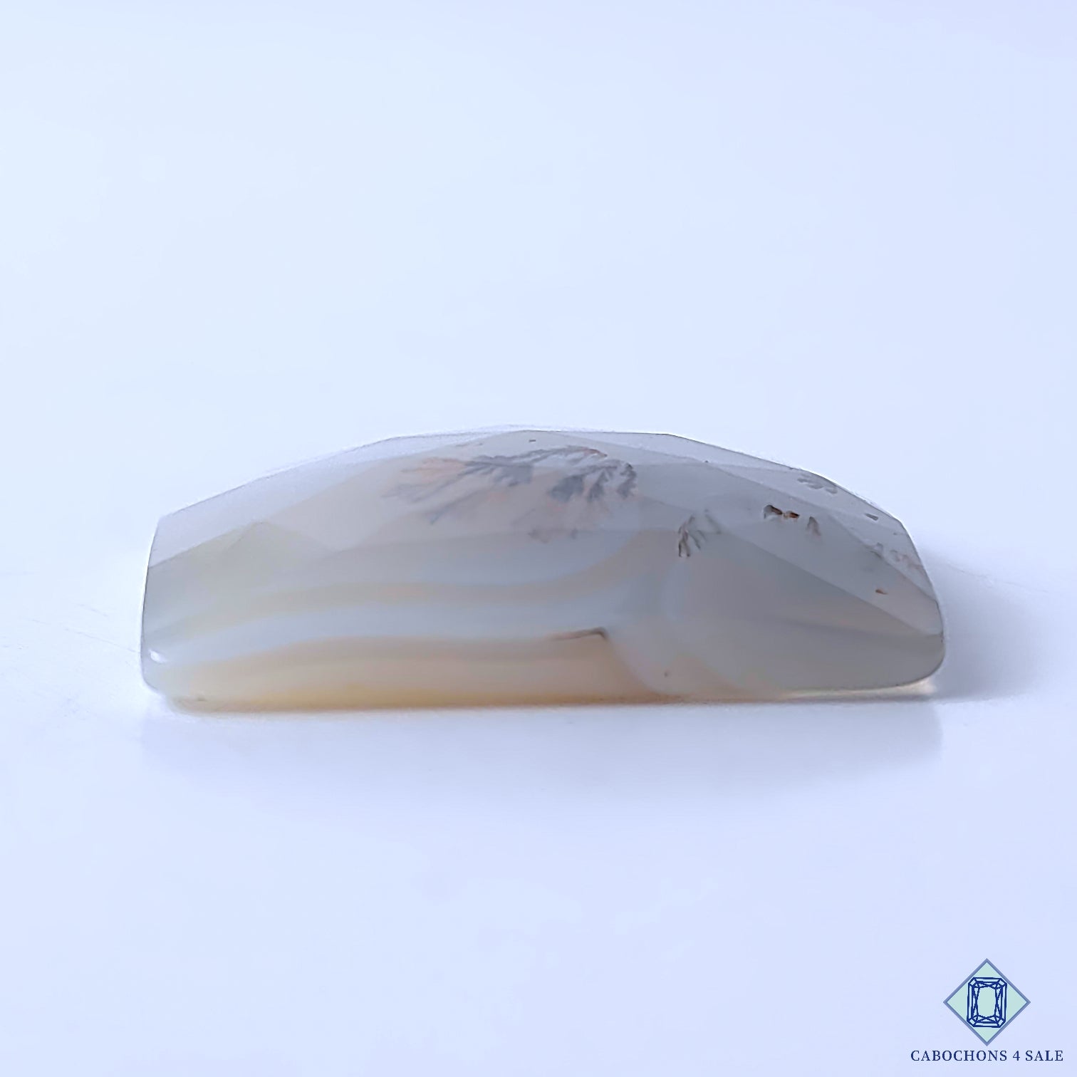 Dendritic Agate