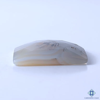 Dendritic Agate