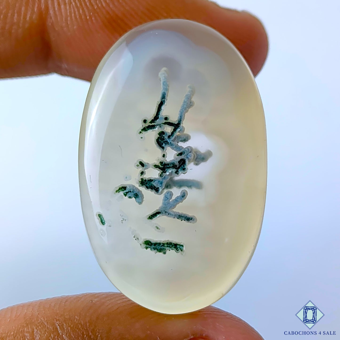 Dendritic Agate