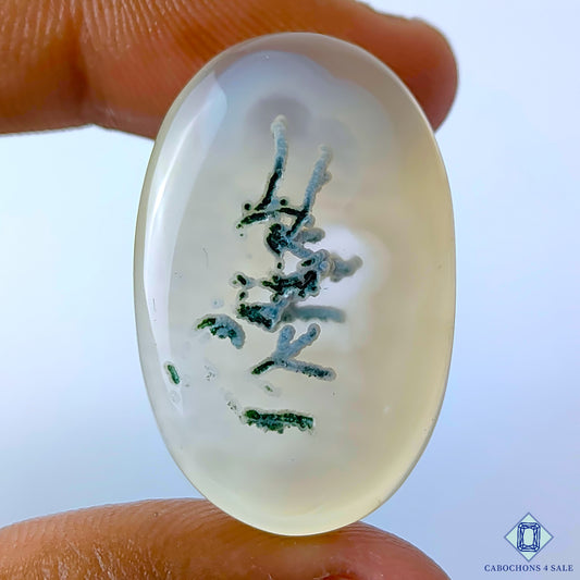 Dendritic Agate