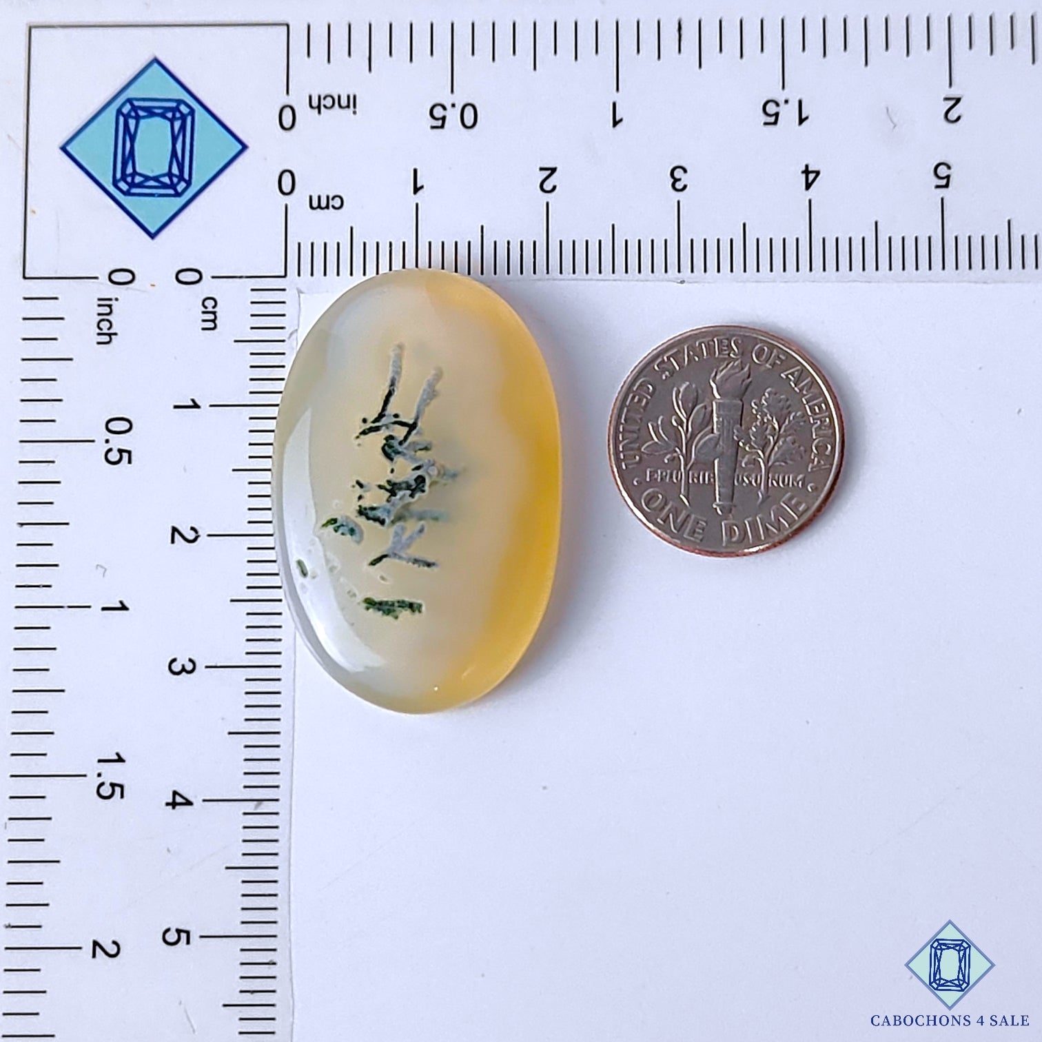 Dendritic Agate