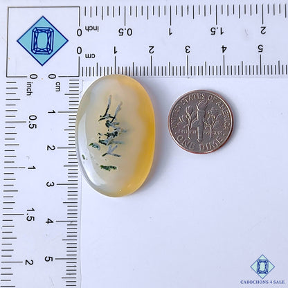 Dendritic Agate
