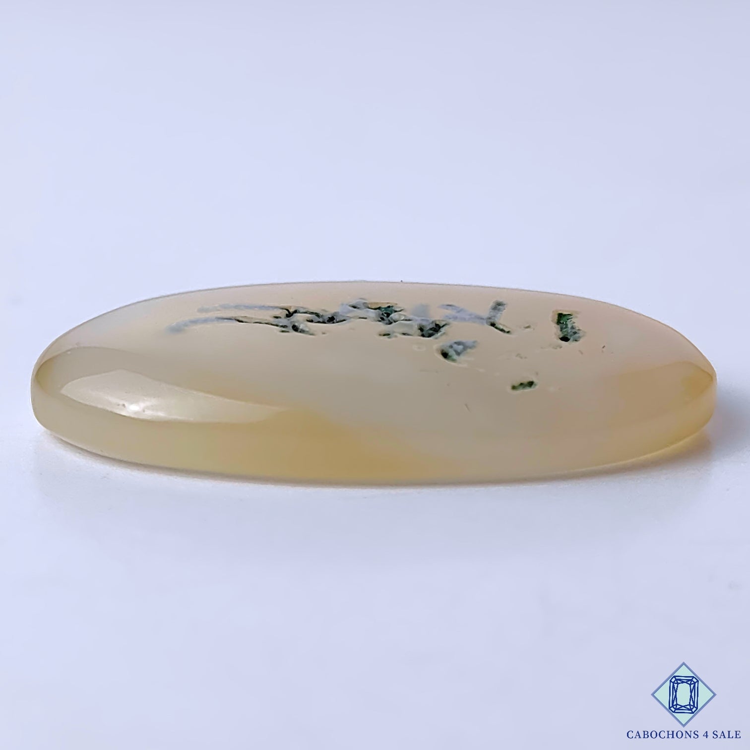 Dendritic Agate
