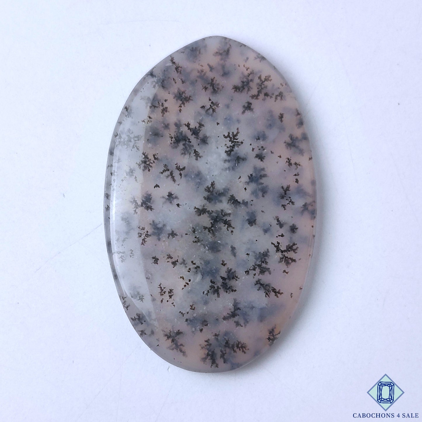 Dendritic Agate