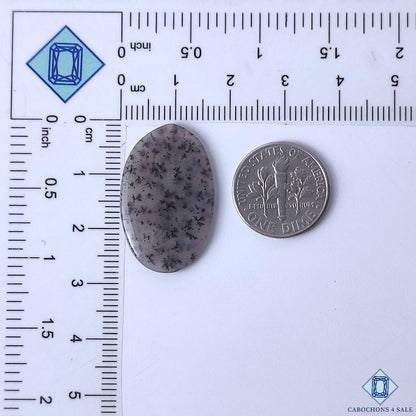 Dendritic Agate