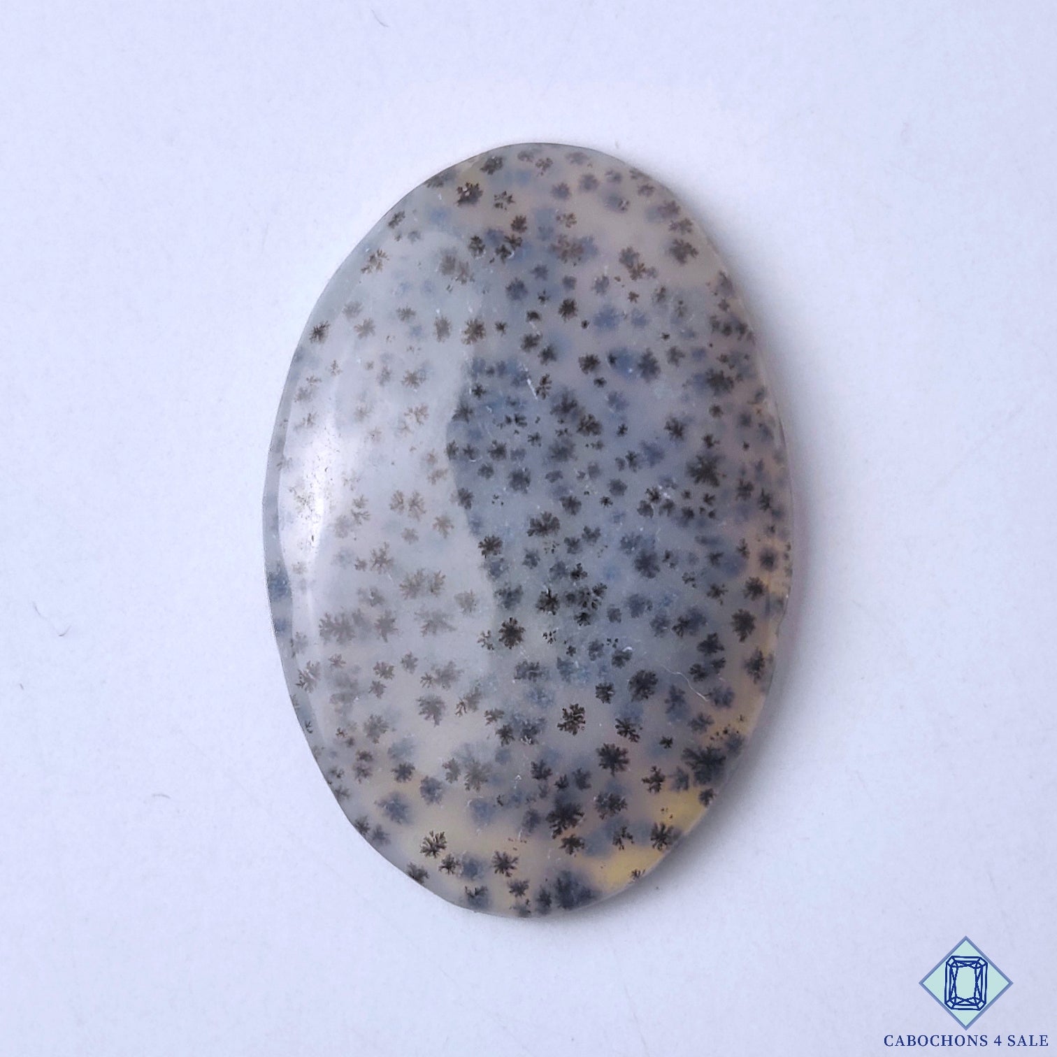 Dendritic Agate