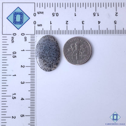 Dendritic Agate