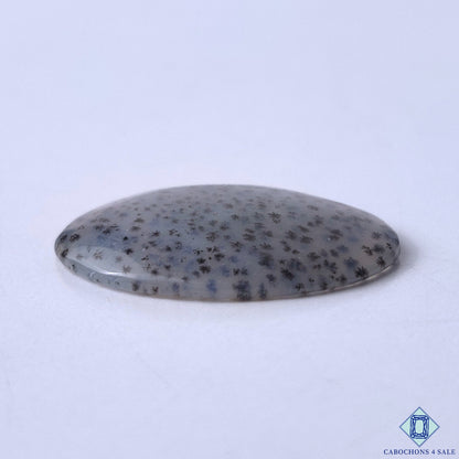 Dendritic Agate