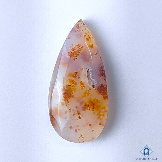 Dendritic Agate