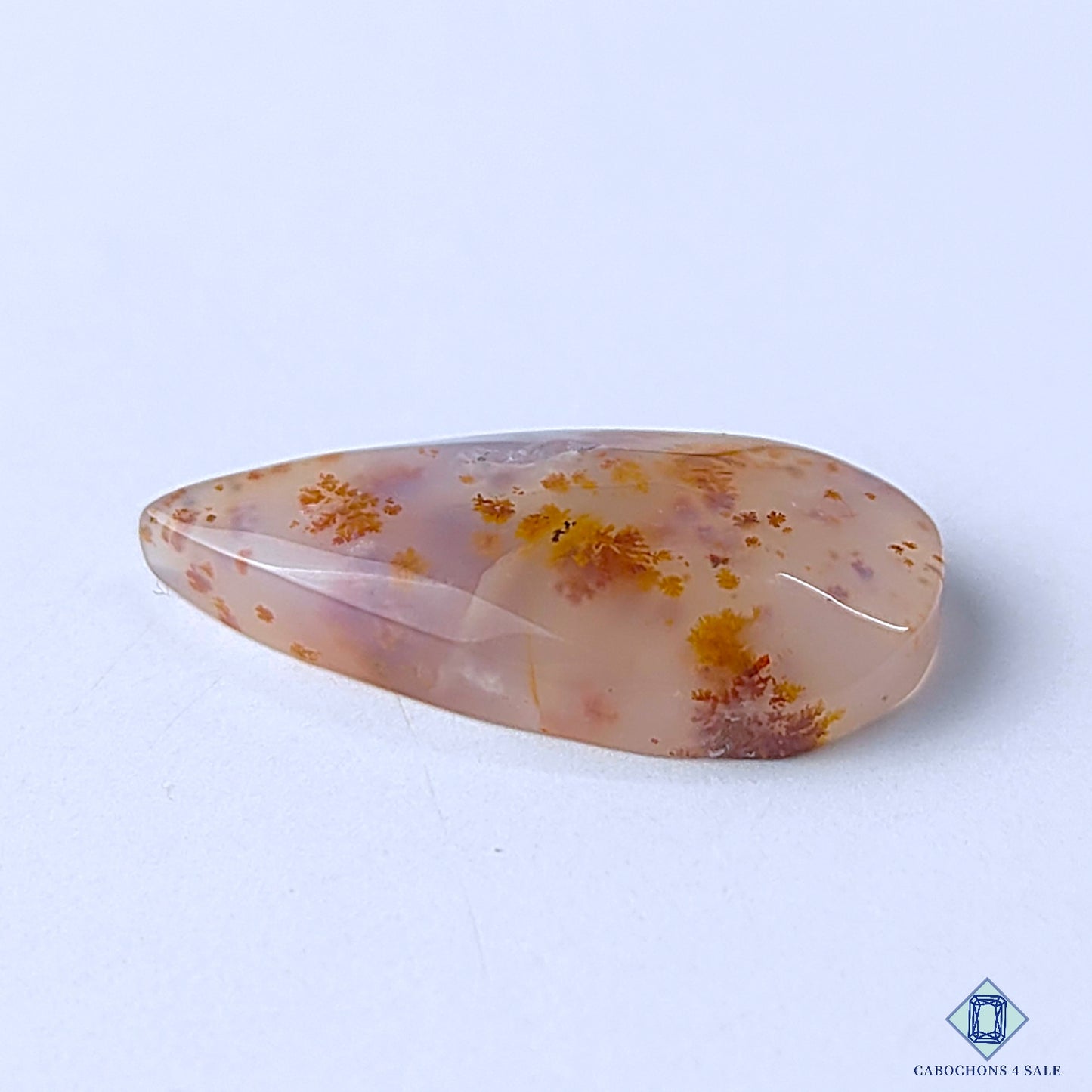 Dendritic Agate