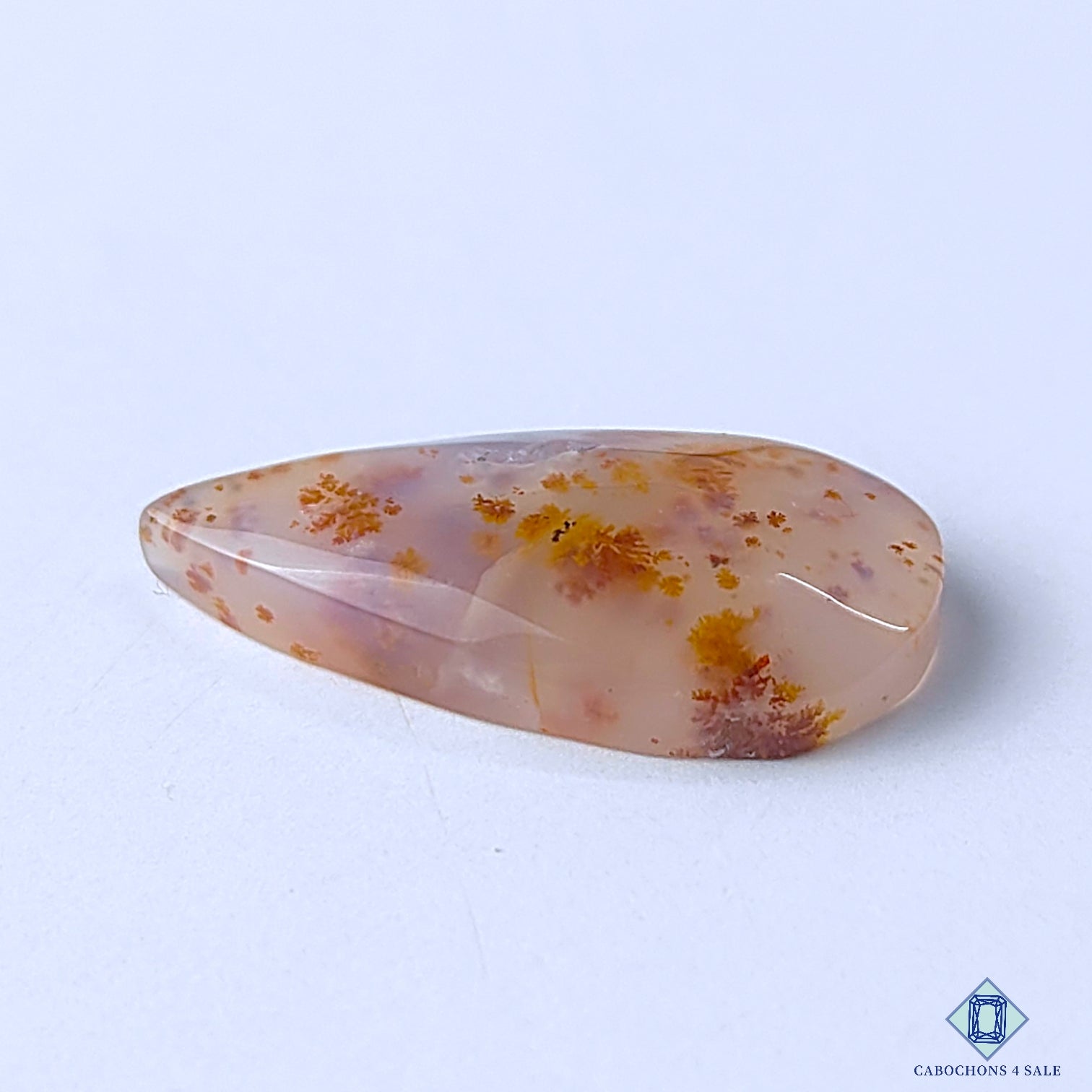 Dendritic Agate